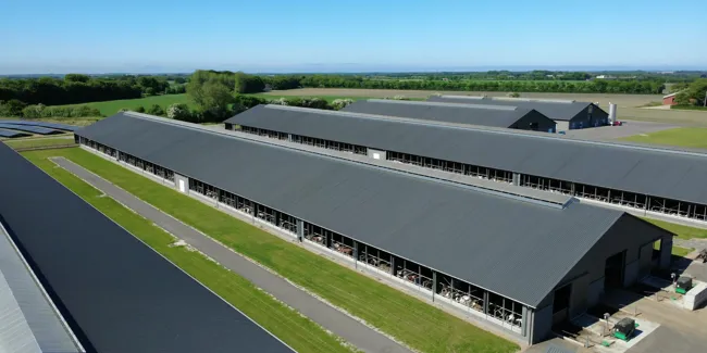 Sandwichpaneler